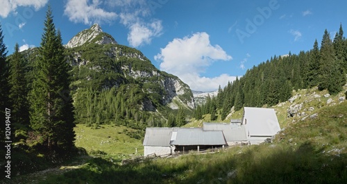 cattle farm in Planina Duplje near Krnsko jezero lake in Julian Alps in Slovenia