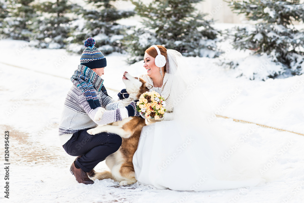 bride and groom with dog Huskies in winter