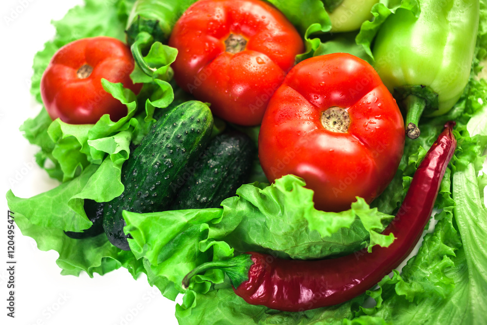 Fresh organic vegetables. Autumn vegetables. Harvesting. Ingredients for the salad. Lettuce, tomatoes, cucumbers, zucchini, eggplant, peppers, chillies. Fresh organic vegetables. Autumn vegetables. Harvesting. Ingredients for the salad. Lettuce, tomatoes, cucumbers, zucchini, eggplant, peppers, chillies.