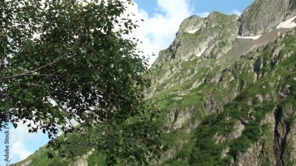 lonely green tree on a background of mountains and blue sky. Full HD. 1920x1080 lonely green tree on a background of mountains and blue sky. Full HD. 1920x1080