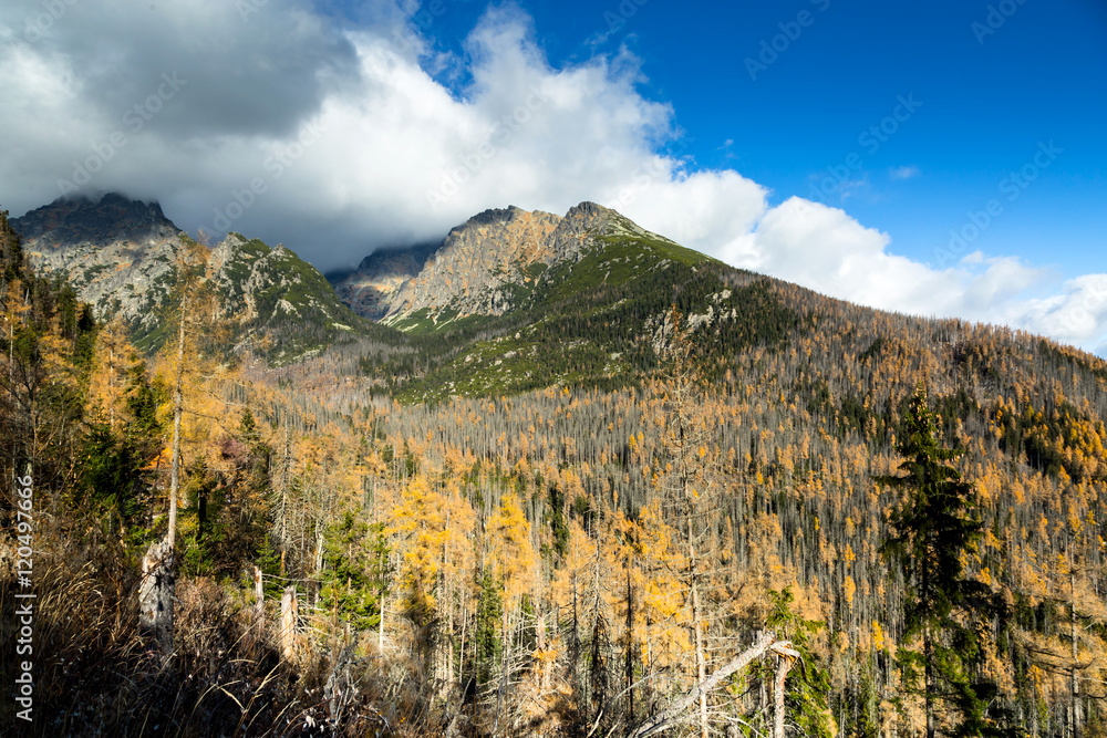 Tatra autumn season. View of forests and mountains. Tatra autumn season. View of forests and mountains.