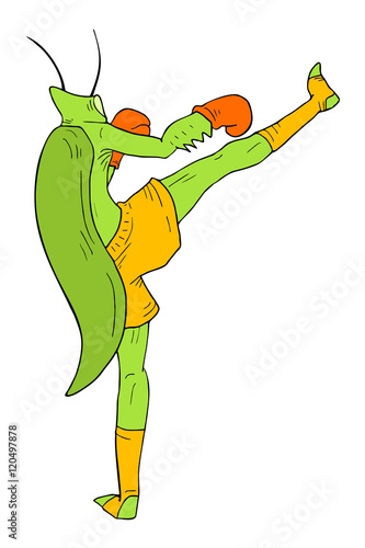insect fighter illustration