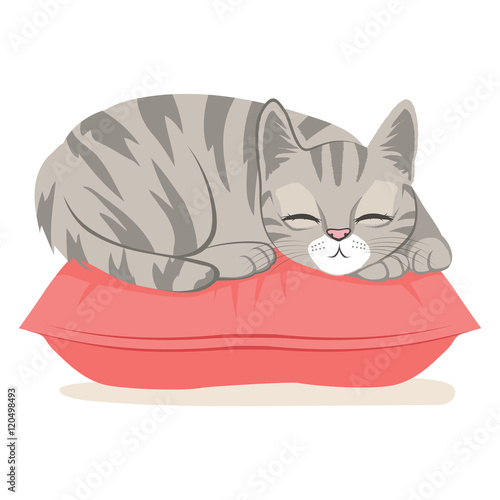 Cute cat on a pink pillow sleeping happy having sweet dreams