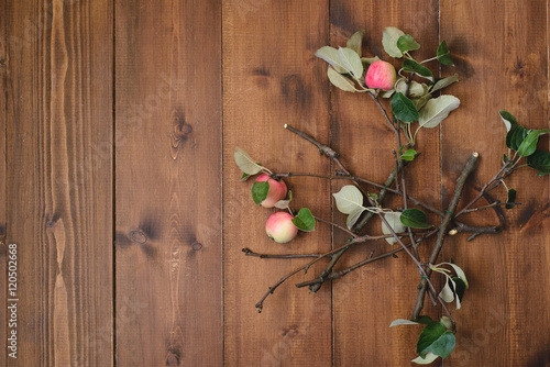 apple tree branch on the table
