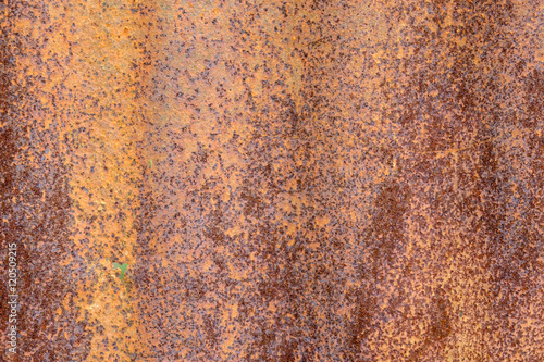 Detail of Rusty Corrugated Iron texture and patterns