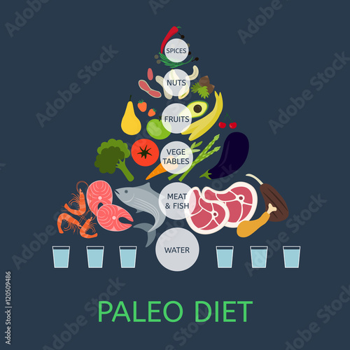 Paleolithic Diet Pyramid. Infographic about healthy food.