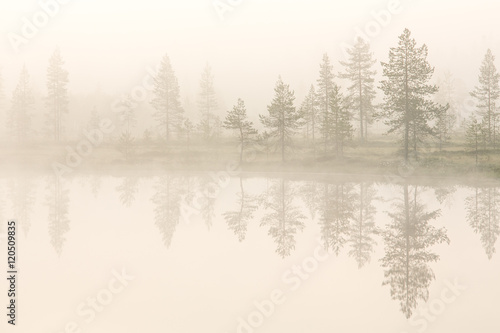 Mist over lake, Lapland, Finland, Europe 