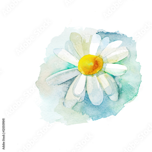 Wallpaper Mural flower isolated on white background Torontodigital.ca