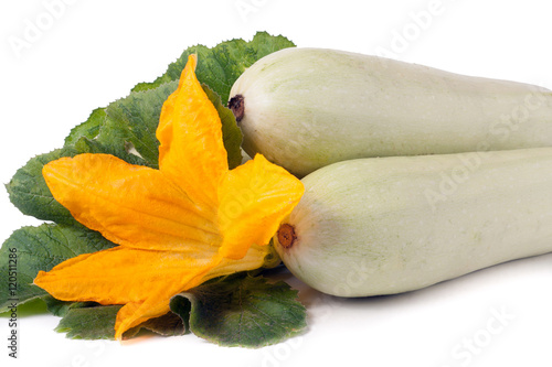 two zucchini with flower and leaf isolated on white background