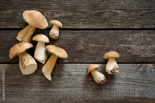 Fresh white mushrooms from forest on a rustic wooden board, overhead view.
