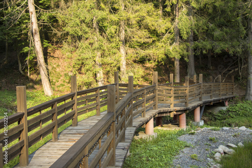 Bridge through the forest