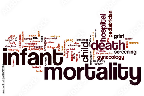 Infant mortality word cloud photo