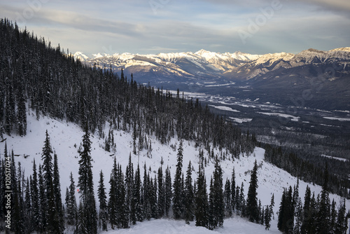 Snow covered trees with mountains in winter, Kicking Horse Moun