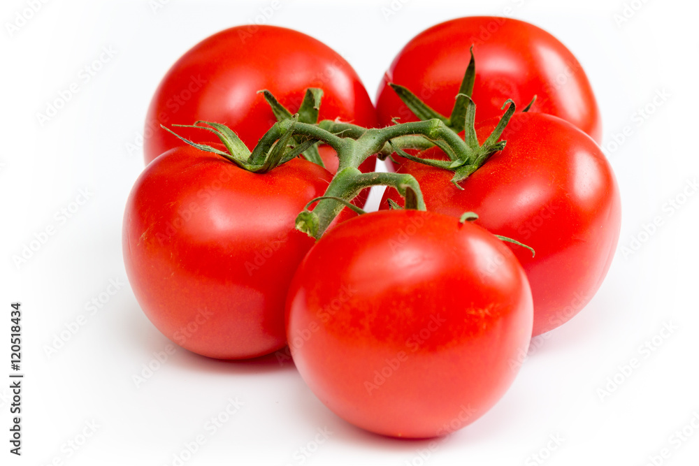 Strauchtomaten auf weißem Hintergrund freigestellt Strauchtomaten auf weißem Hintergrund freigestellt