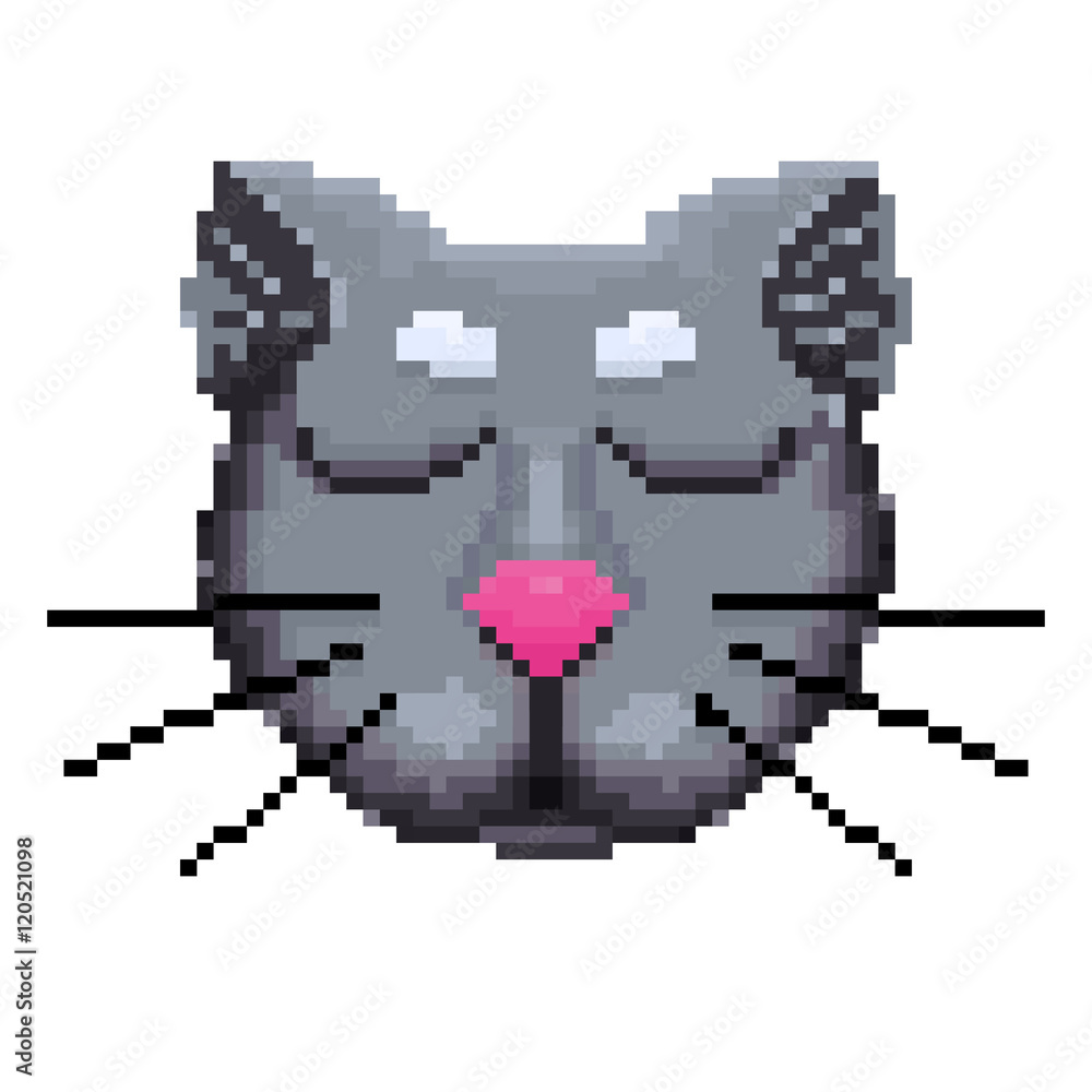 Obraz premium The muzzle of a cat pixels.