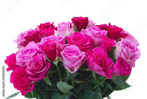 bunch of fresh pink and magenta roses closeup isolated on white background
