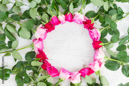 Pink and mageta fresh roses frame on white wooden aged background photo