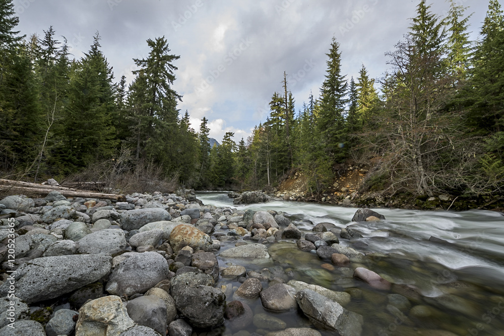 River flowing in a forest, Whistler, British Columbia, Canada River flowing in a forest, Whistler, British Columbia, Canada