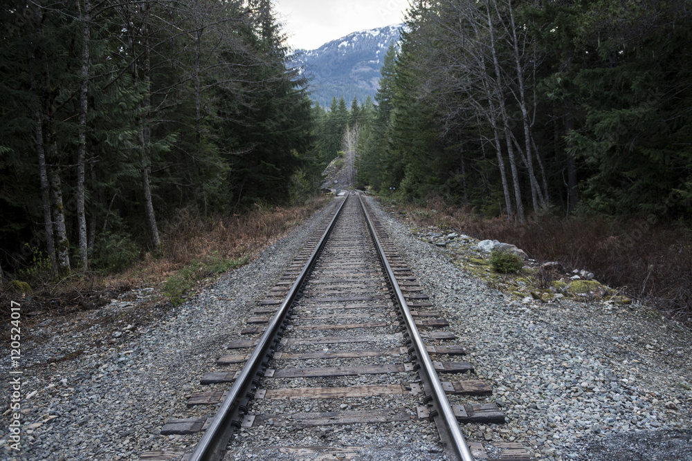 Railroad track passing through forest, Whistler, British Columbi
