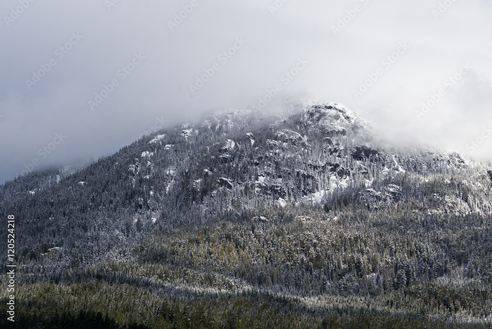 View of snowcapped mountain in winter, Whistler, British Columbi