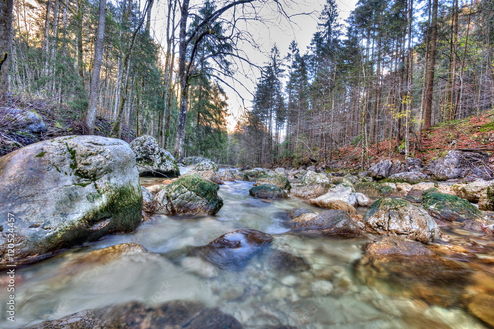 Flowing river in the autumn woods Flowing river in the autumn woods