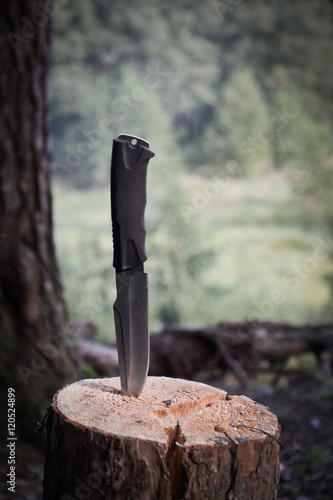Travel knife in the woods