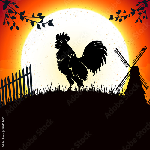 Rooster on background of morning sun