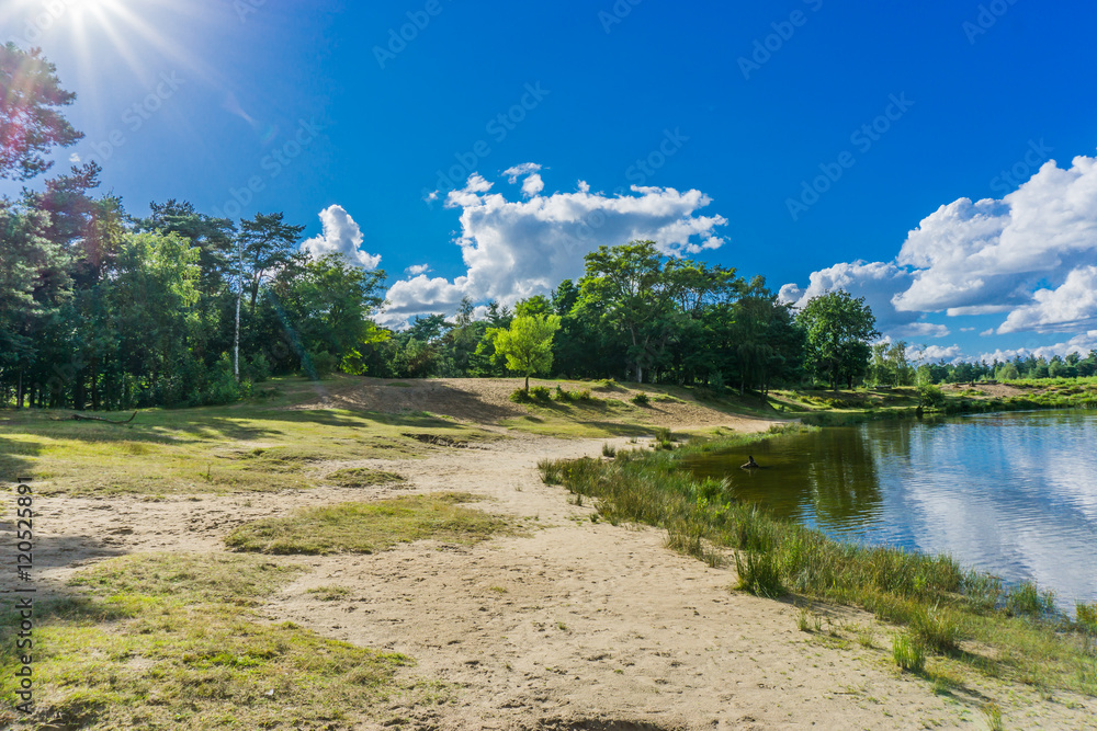 sandy pathway near the lake in a forest landscape on a sunny day