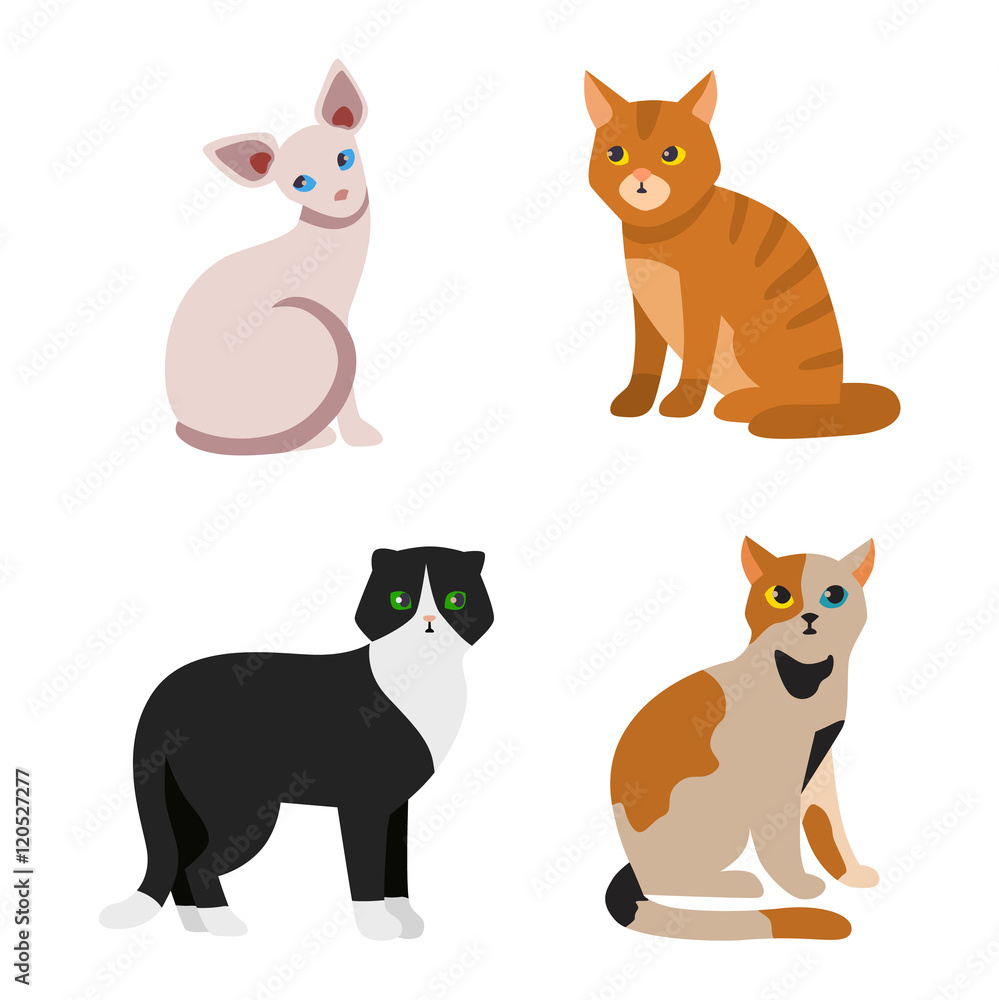 Cat breeds cute pet animal set vector illustration. Cat breed animal and cartoon different cats. Mammal character human friend cat breed animals icons. Character cat portrait friend feline.
