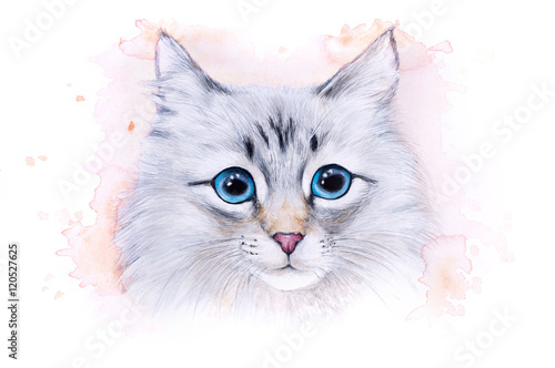 Watercolor illustration of a white cat