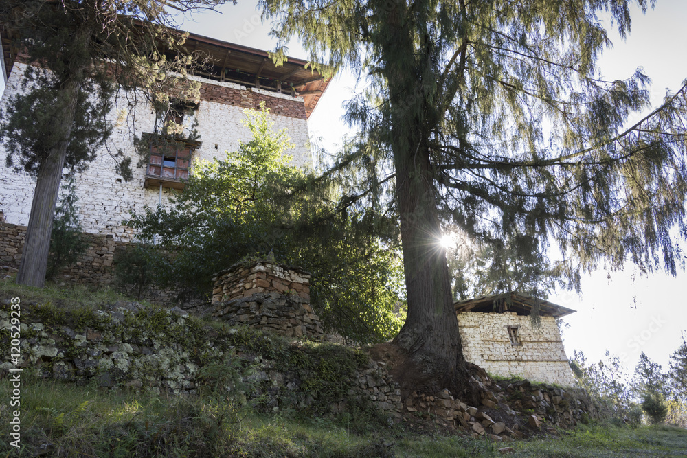 Low angle view of a Buddhist Temple, Paro Valley, Bhutan Low angle view of a Buddhist Temple, Paro Valley, Bhutan
