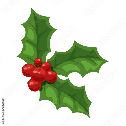 Christmas berry vector illustration.