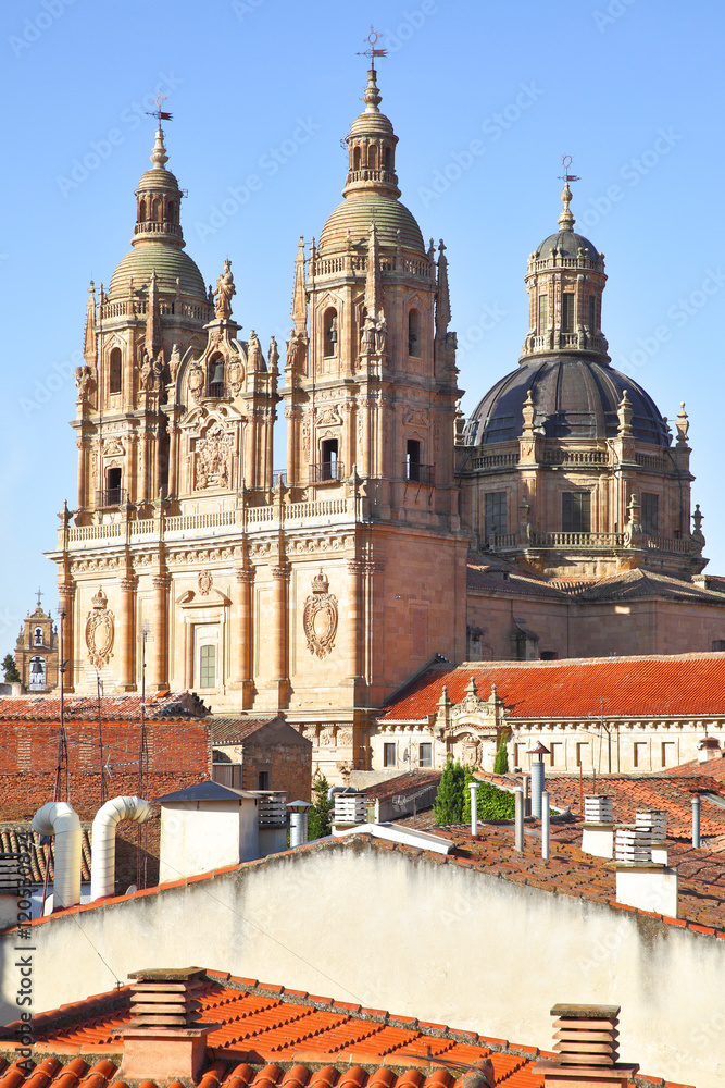 Iglesia de la Clerecia in Salamanca