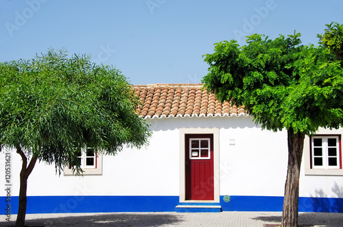 Traditional houses of the coast of the Alentejo. photo
