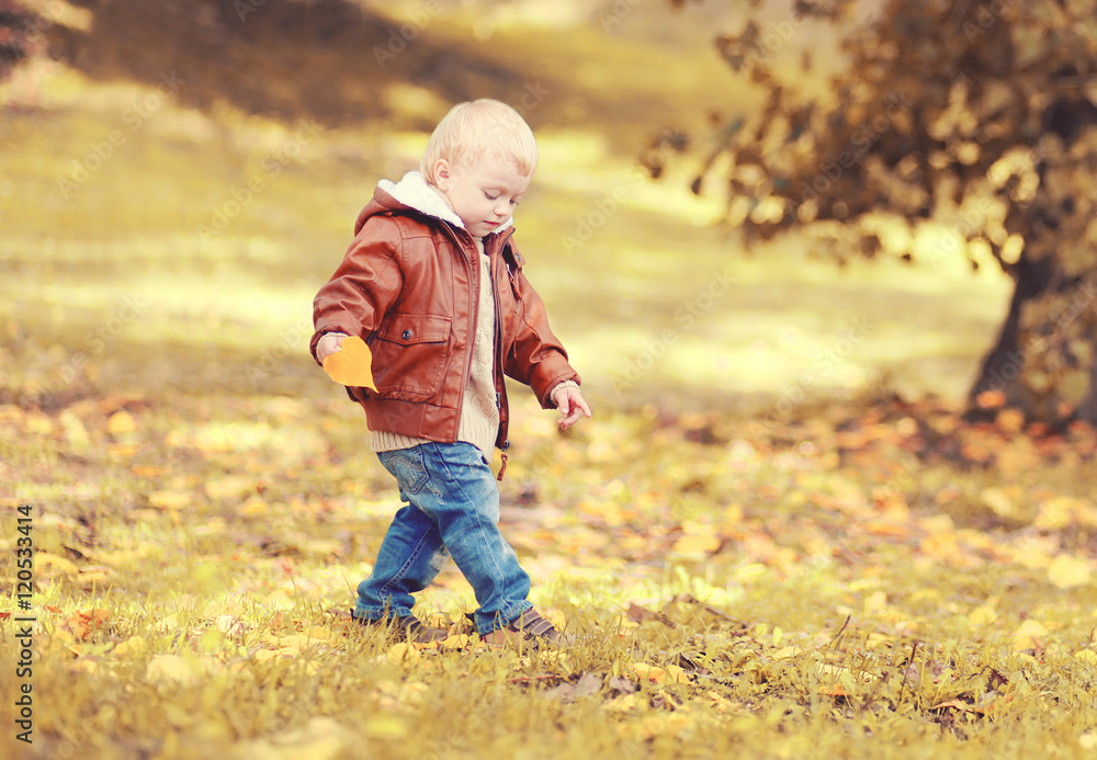 Cute little child boy walking in autumn day, view profile Cute little child boy walking in autumn day, view profile