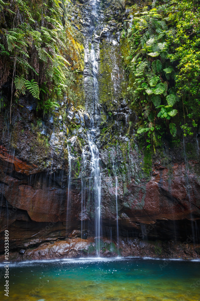 Naklejka premium Waterfall Levada das 25 fontes, Madeira Island, Portugal