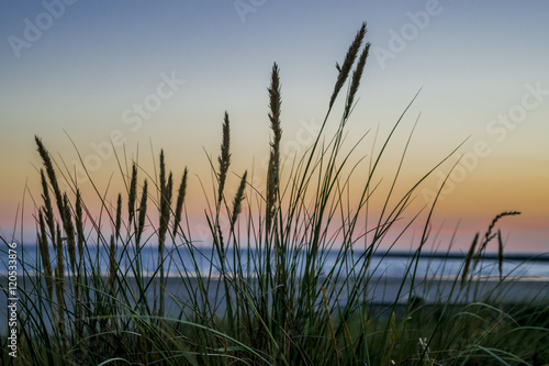 Summer evening. On the shore of the North Sea. Dunes.