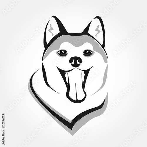 Akita head portrait vector. Dog stylized face icon. Cute smiling pet design.