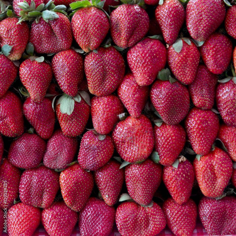 Rows of Strawberries for sale at market stall, Arcos de San Migu