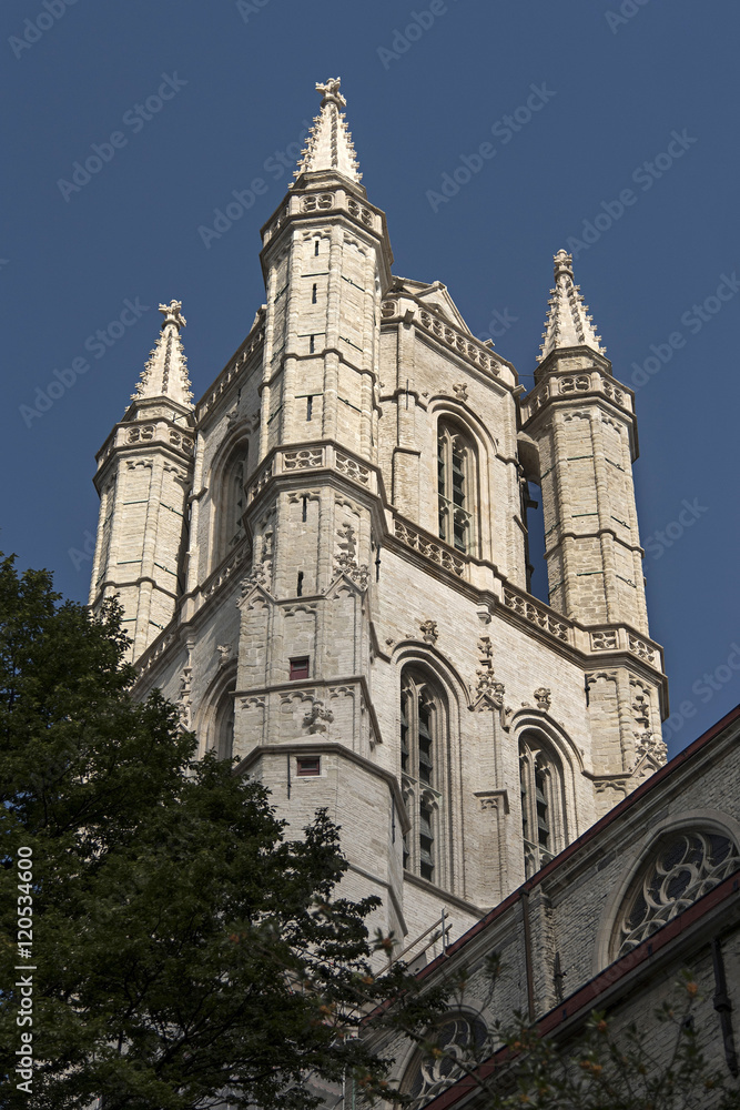 cathédrale saint bavon