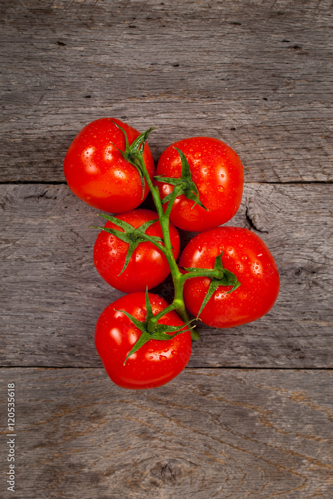 Red Tomatoes on the Vine. Selective focus. Red Tomatoes on the Vine. Selective focus.