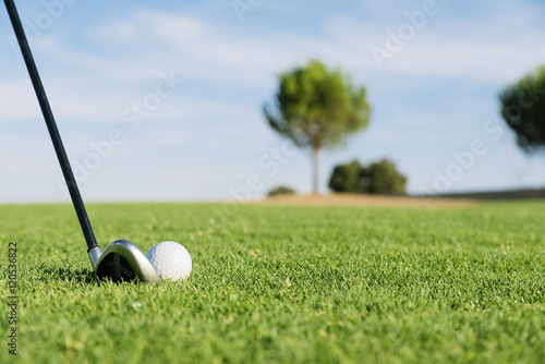 Golf club and ball in grass.