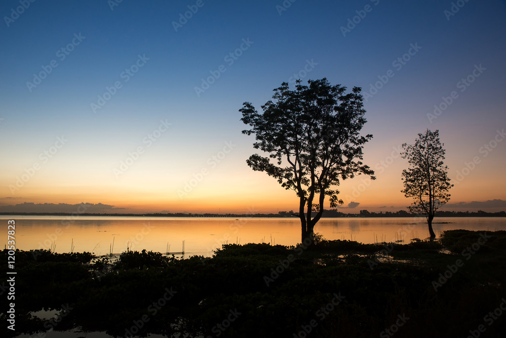 Silhouette  tree in lake at Sunset,Thailand.