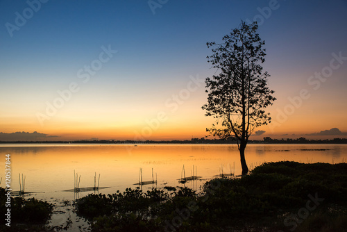 Lonely tree in lake at Sunset