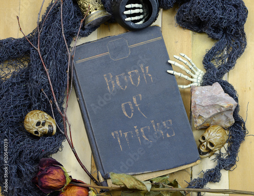 Halloween image of overhead perspective of an old book surrounded by artifacts like skulls, dead flowers, minerals, twigs and skeleton hands. Book of Tricks text added,