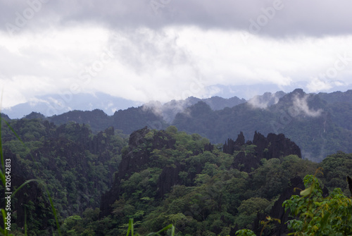 Green jungle of Laos. Clouds on top of the mountains © Mikhail Mishchenko