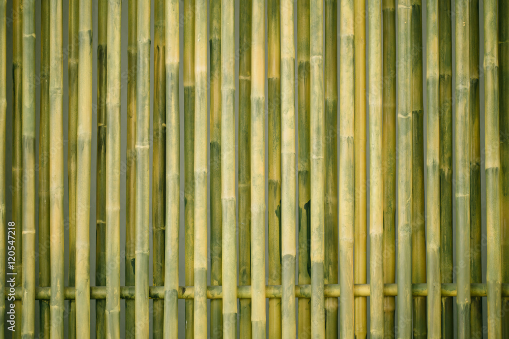 Fototapeta premium drewno bambusowe na tle