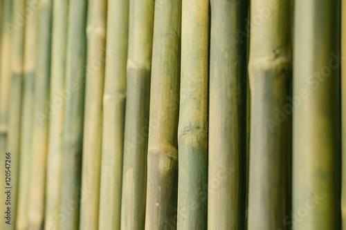 Fototapeta Naklejka Na Ścianę i Meble -  bamboo wood for background