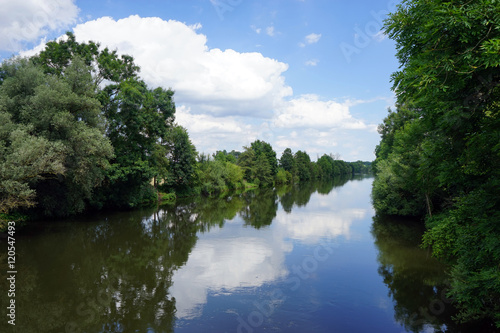 Rein and dam near forest