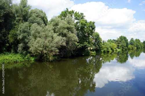 Rein and dam near forest